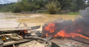 NAIMOS Defends Burning of Seized Chanfangs Over Difficulties in Transportation